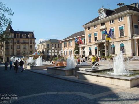 Commerces/Negoce 85000 74100 Annemasse