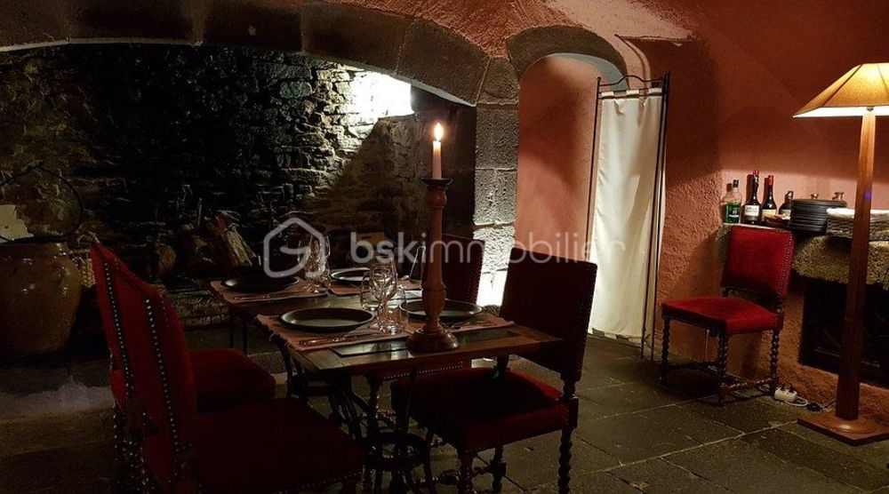 � vendre  Propri�t�/ch�teau Saint-Flour (15100)