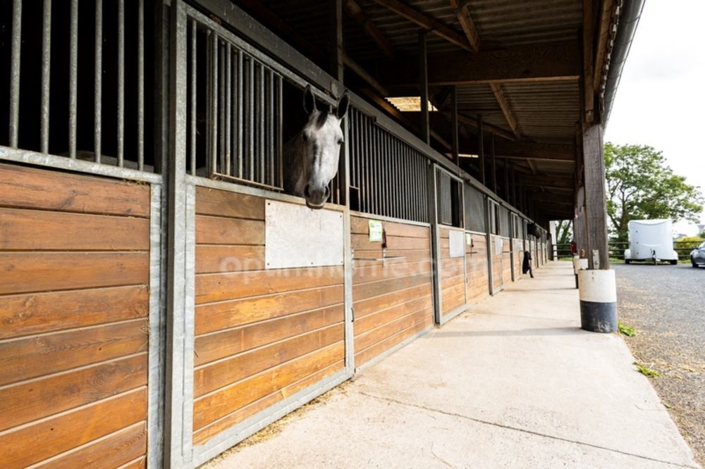 � vendre  Propri�t�/ch�teau Bayeux (14400)