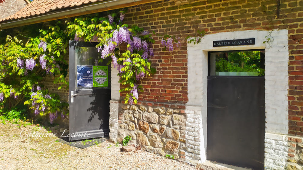 � vendre  Propri�t�/ch�teau Samer (62830)