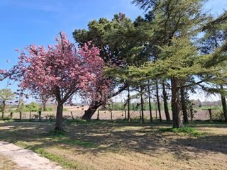  Maison � vendre 6 pi�ces 100 m�