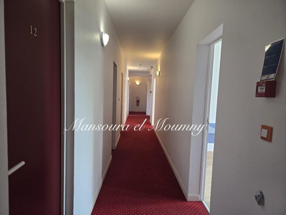 � vendre  Propri�t�/ch�teau Ch�teau-Renault (37110)