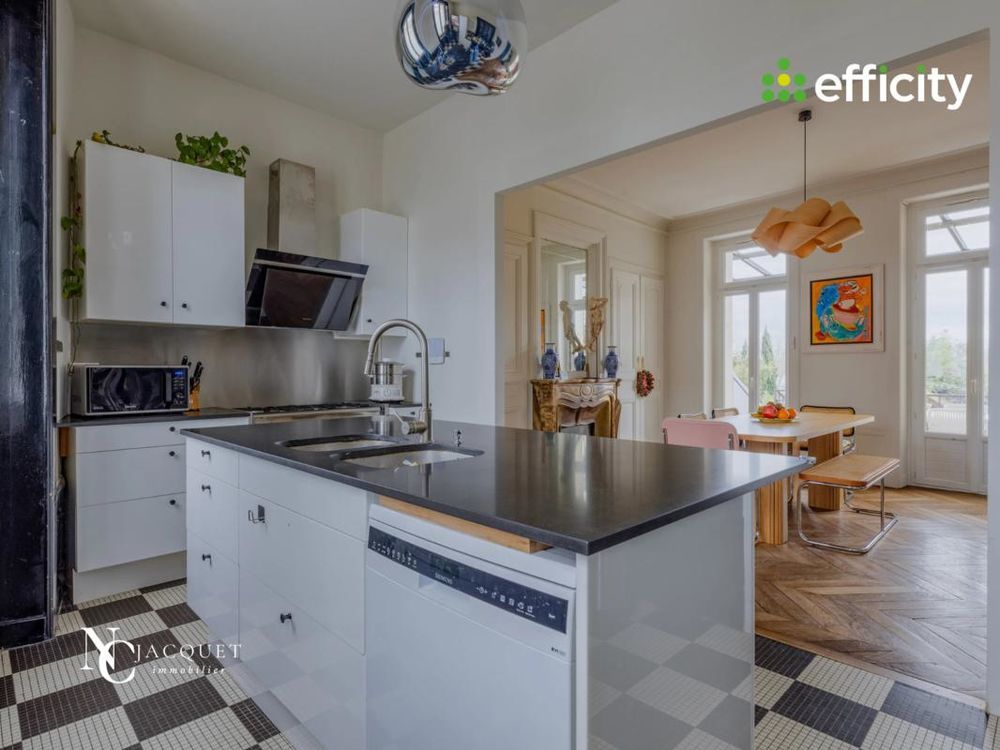 � vendre  Propri�t�/ch�teau Neyron (01700)