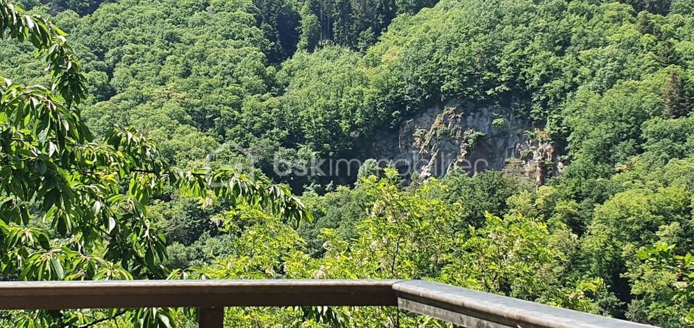 � vendre  Propri�t�/ch�teau Andlau (67140)