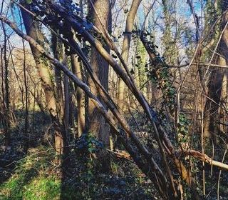  Terrain � vendre 1886 m�