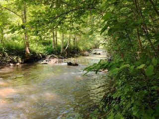  Maison � vendre 2 pi�ces 40 m�