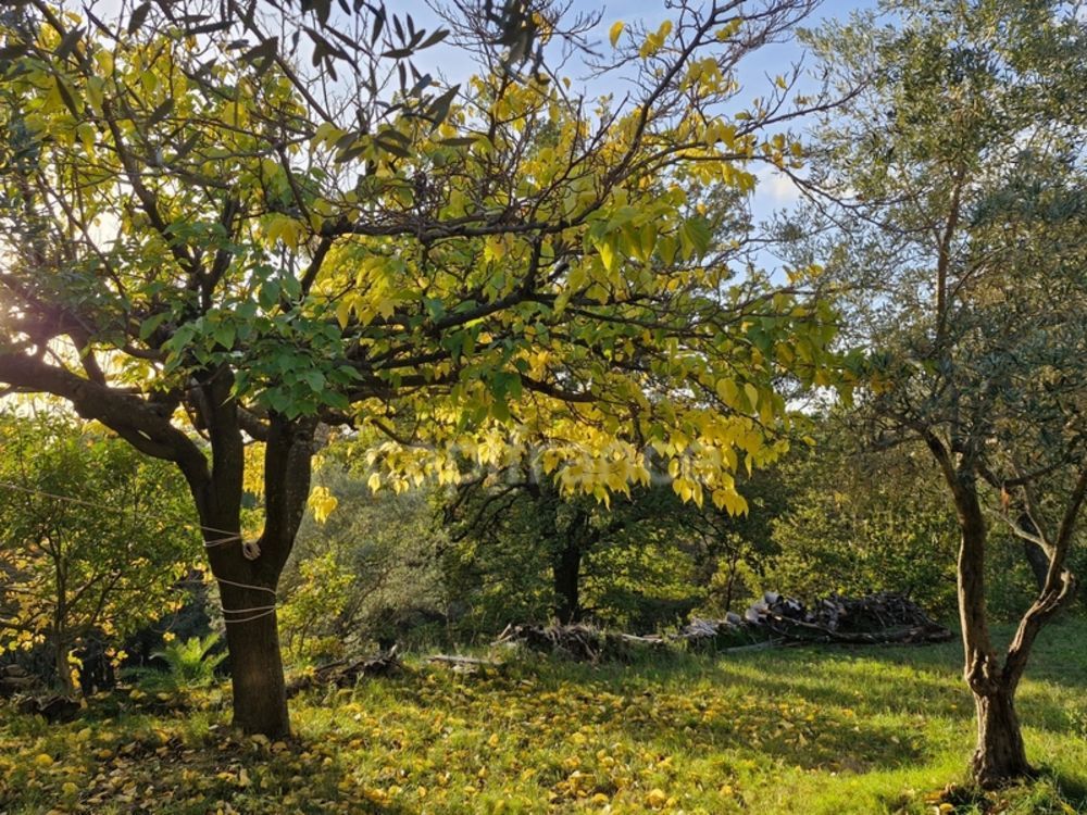 � vendre  Maison �guilles (13510)