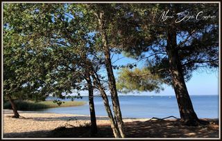  Maison � vendre 7 pi�ces 330 m�