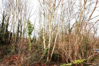  Terrain � vendre 4273 m�