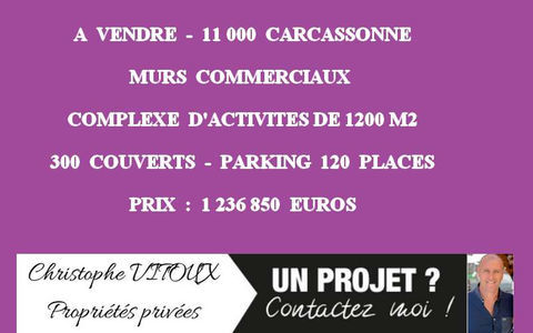 11000 CARCASSONNE - MURS COMMERIAUX, COMPLEXE D'ACTIVITES 1200 M&sup2; 1236850 11000 Carcassonne