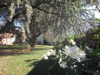  Maison � vendre 10 pi�ces 290 m�