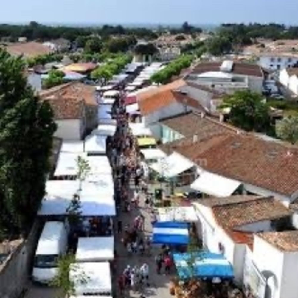 � vendre  Maison Le Bois-Plage-en-R� (17580)