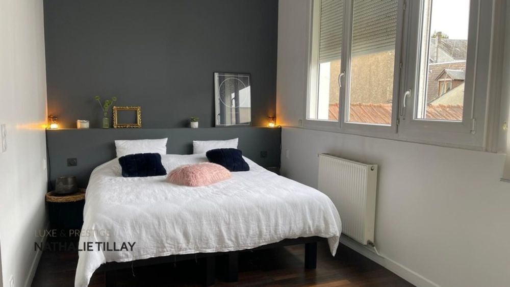 � vendre  Loft Orl�ans (45000)