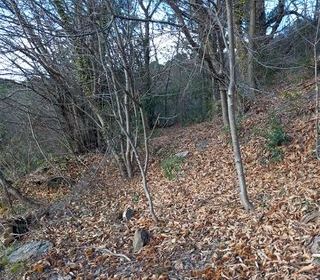  Terrain � vendre 6393 m�