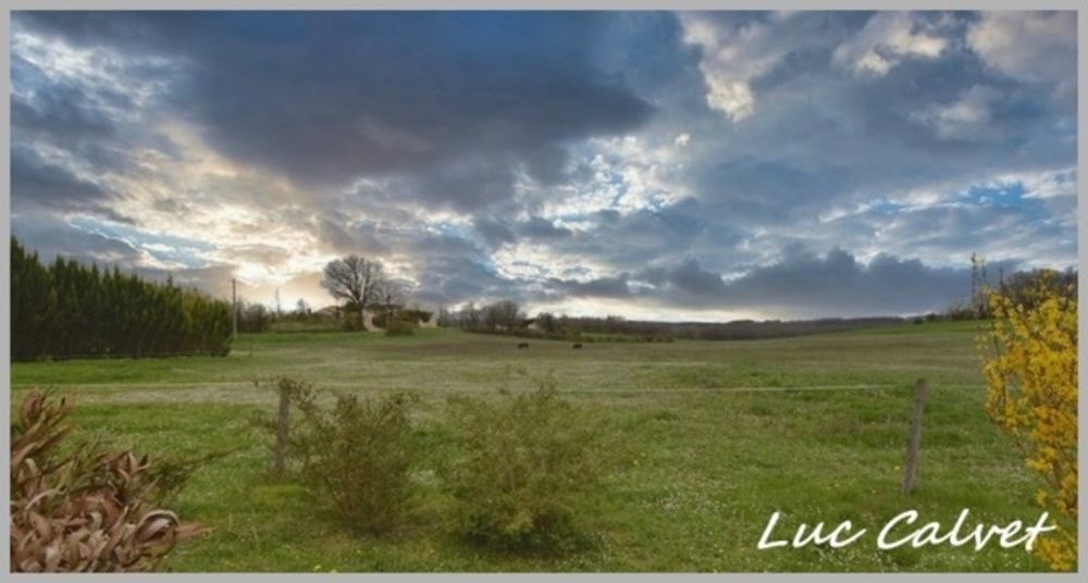 � vendre  Maison Cahuzac-sur-V�re (81140)