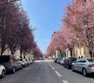  Appartement � louer 1 pi�ce 11 m�