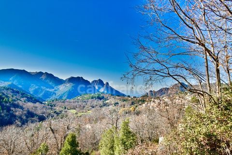   EVISA (CORSE) A VENDRE : Ensemble immobilier touristique : b�timent g�te-h�tel/restaurant + 6 chalets avec piscine Propri�t�/ch�teau - 15 + pi�ce(s) - 764 m�