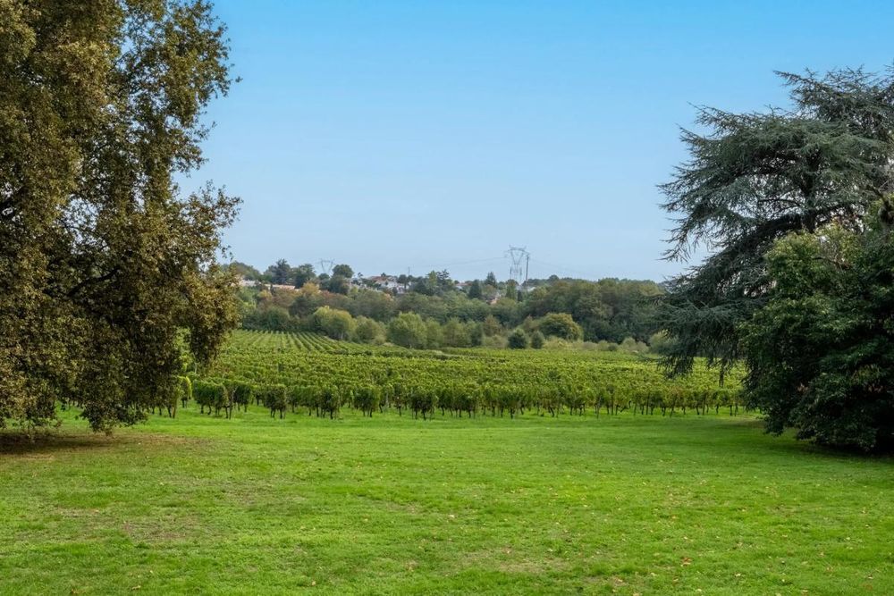 � vendre  Propri�t�/ch�teau Yvrac (33370)