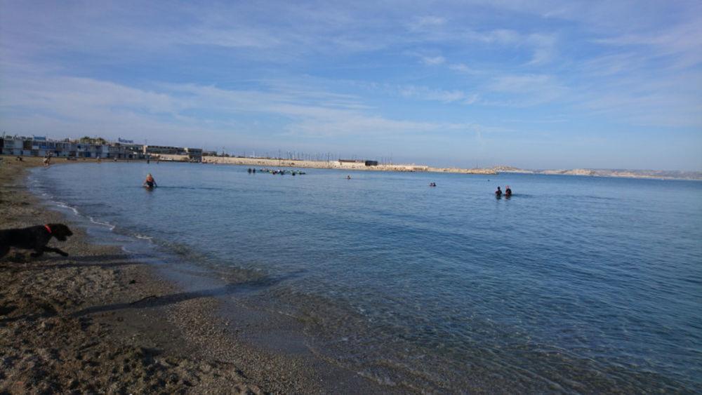 � vendre  Appartement Marseille 8