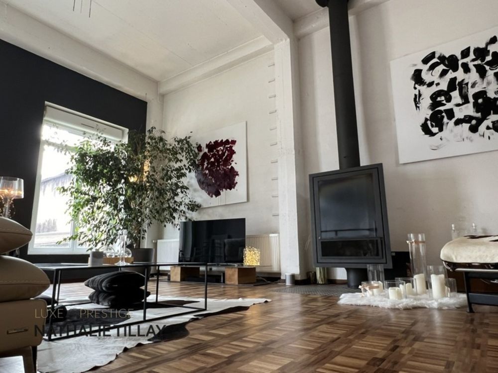 � vendre  Loft Orl�ans (45000)