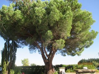  Maison � vendre 8 pi�ces 186 m�