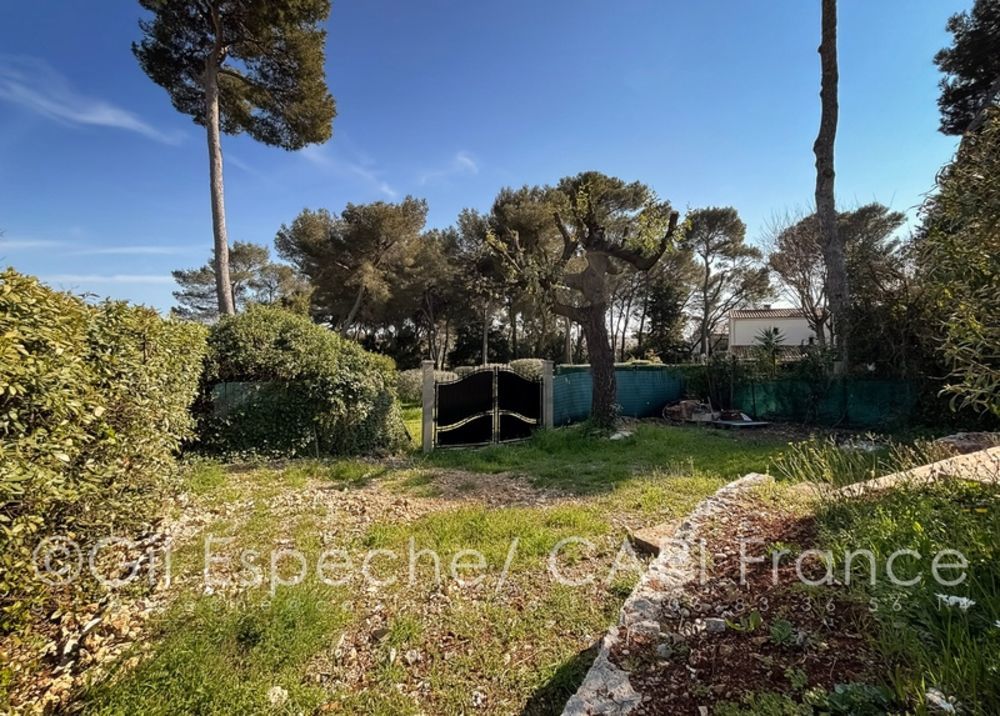 � vendre  Maison Antibes (06600)