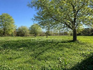  Remise / Grange � vendre 1 pi�ce 267 m�