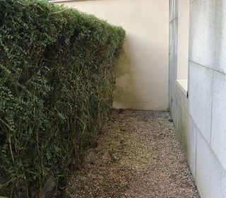  Appartement � louer 2 pi�ces 50 m�