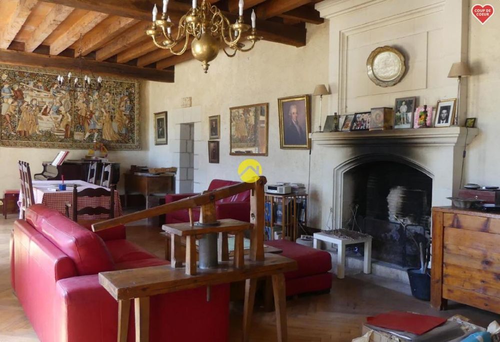 � vendre  Propri�t�/ch�teau Langeais (37130)