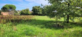  Terrain � vendre 3372 m�