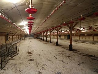  Maison � vendre 2 pi�ces 