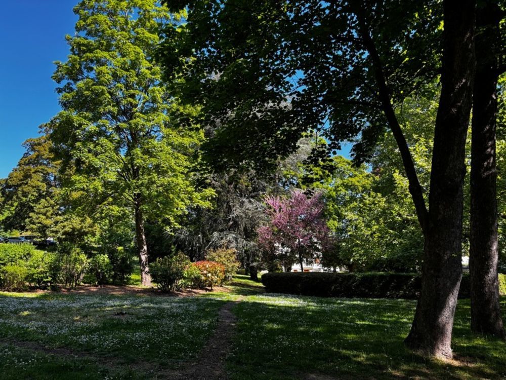 � vendre  Appartement Meudon (92190)