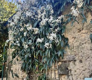  Maison � vendre 9 pi�ces 222 m�