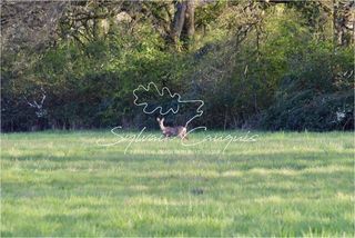  Propri�t�/ch�teau � vendre 8 pi�ces 157 m�