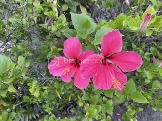  Terrain � vendre 850 m�