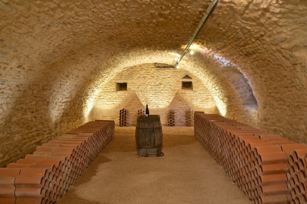 � vendre  Propri�t�/ch�teau Lacenas (69640)