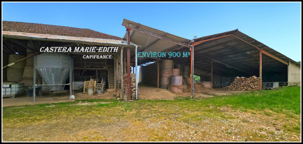 � vendre  Propri�t�/ch�teau Vic-Fezensac (32190)