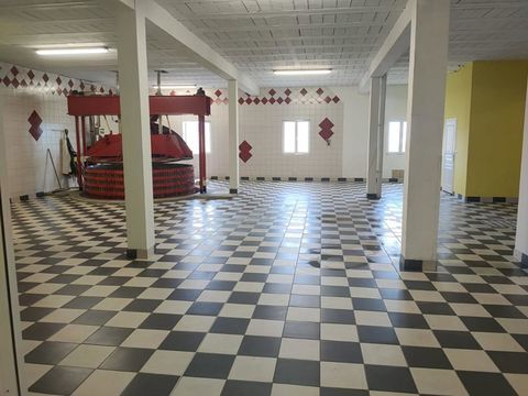   VIAGER LOCAL PROFESSIONNEL LOUE Maison - 1 pi�ce(s) - 423 m�