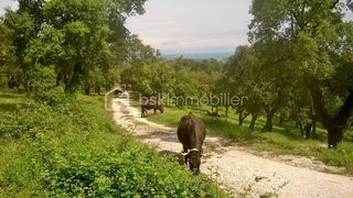  Terrain � vendre 56090 m�