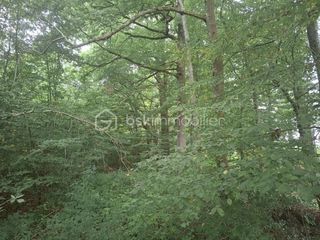  Terrain � vendre 37590 m�