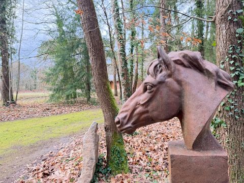   PROPRI�T� �QUESTRE DE 22 HECTARES Propri�t�/ch�teau - 12 pi�ce(s) - 303 m�