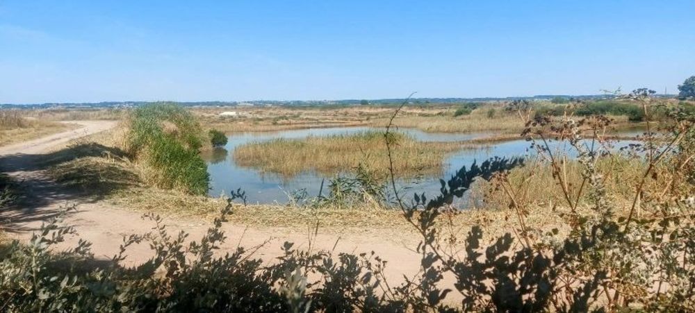 � vendre  Maison Le Croisic (44490)