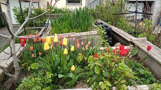  Maison � louer 5 pi�ces 88 m�