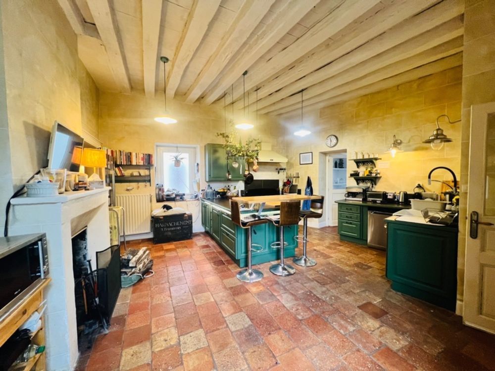 � vendre  Propri�t�/ch�teau Les Ormes (86220)