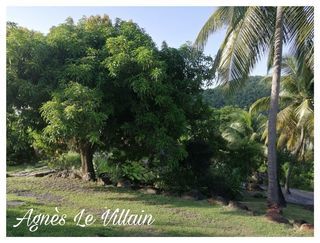  Propri�t�/ch�teau � vendre 15 + pi�ces 550 m�