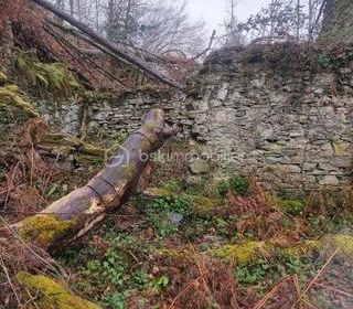  Remise / Grange � vendre 1 pi�ce 60 m�