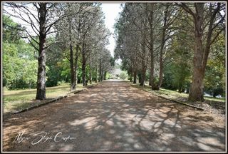  Propri�t�/ch�teau � vendre 8 pi�ces 231 m�