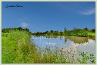  Terrain � vendre 31710 m�