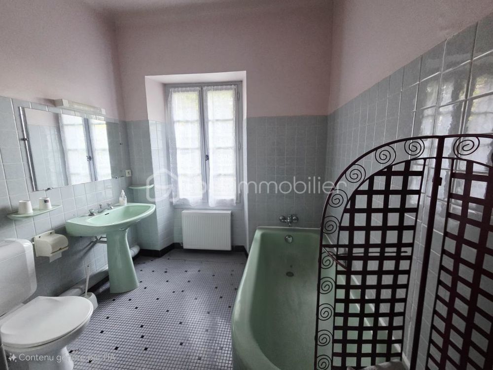 � vendre  Propri�t�/ch�teau Salies-de-B�arn (64270)