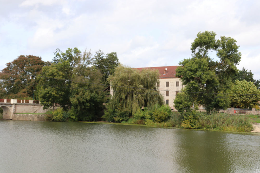 � vendre  Propri�t�/ch�teau La Truch�re (71290)